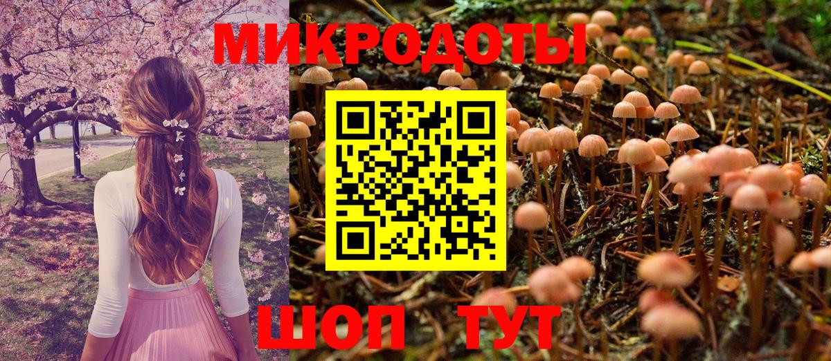 Галлюциногенные грибы ЛСД  Псилоцибиновые грибы GOLDEN TEACHER  Вход с VPN  купить закладку  Томск 